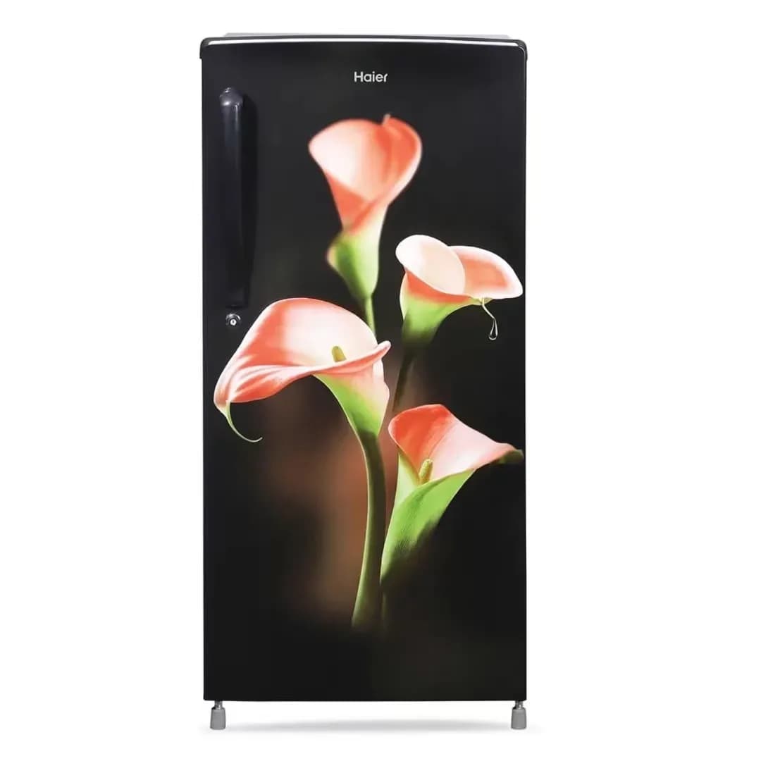 Haier 185 L Single Door Refrigerator (Black Flowers)