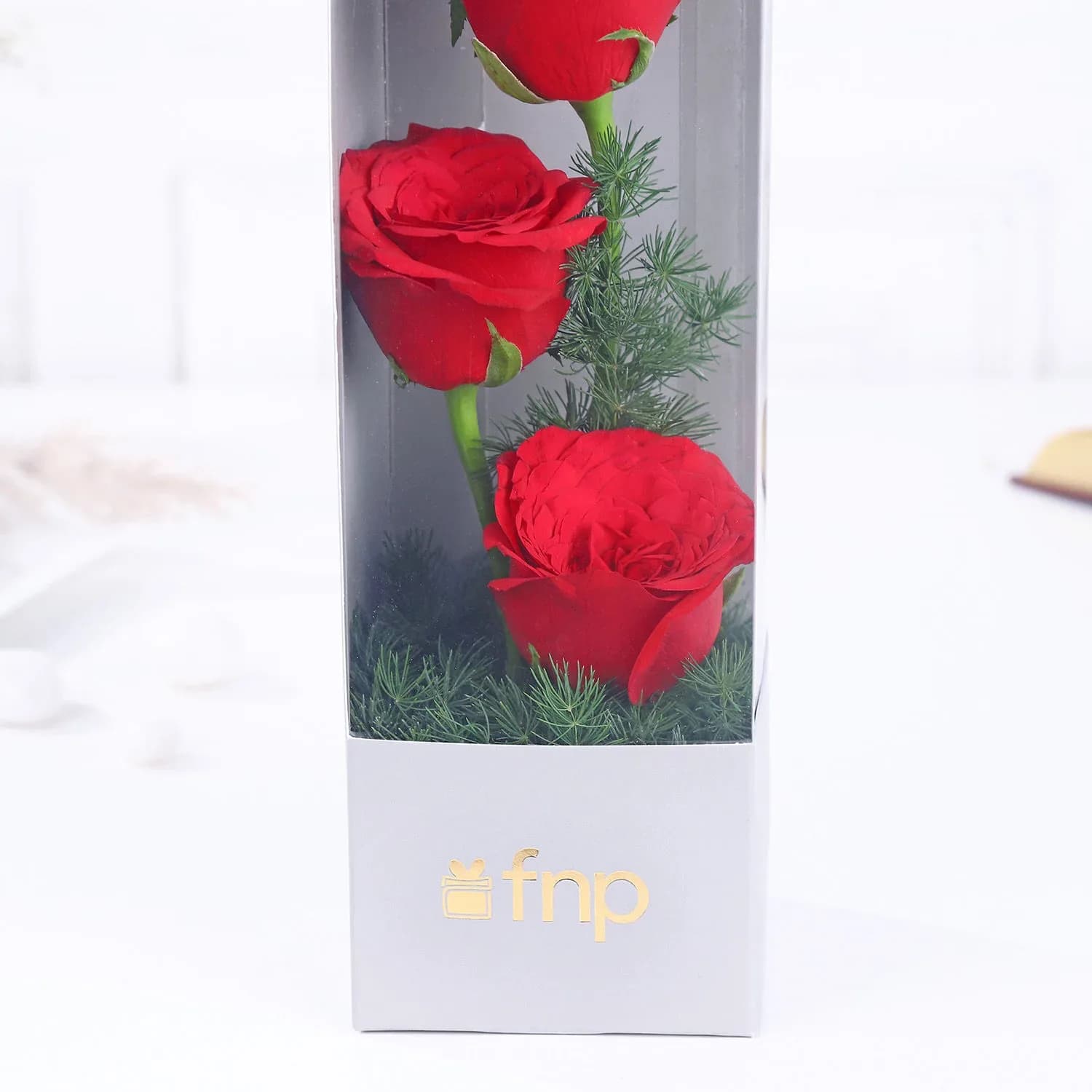 Red Rose Radiance