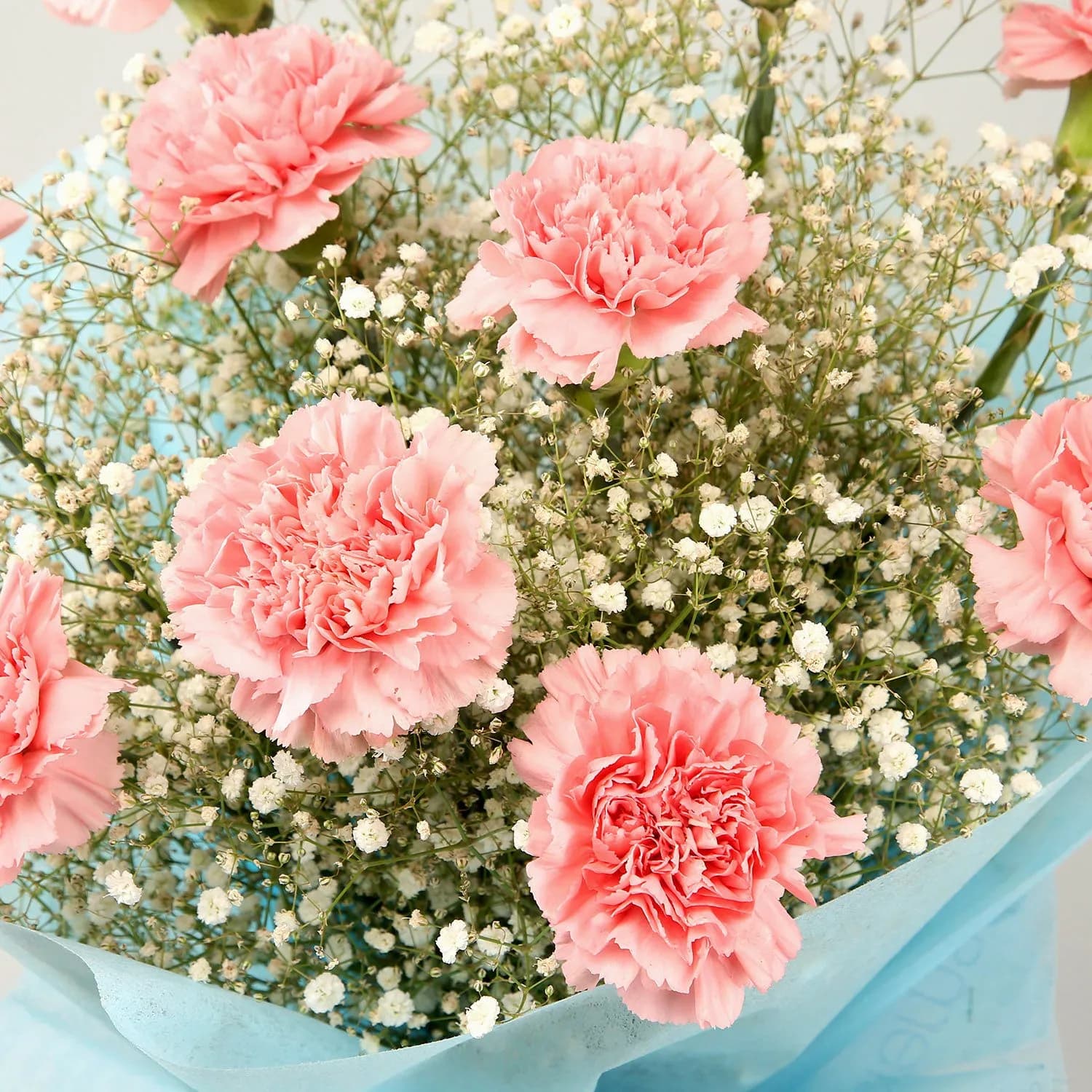 Dazzle With Simplicity Carnations Bouquet