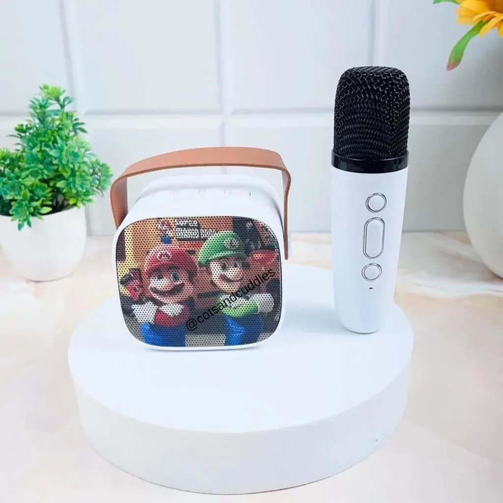 Karaoke Speaker Kit