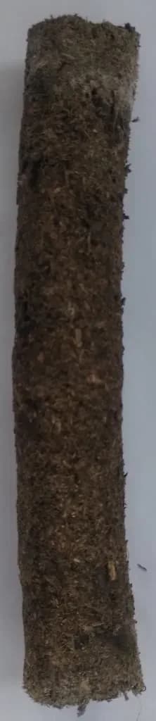 Neem Sambrani
