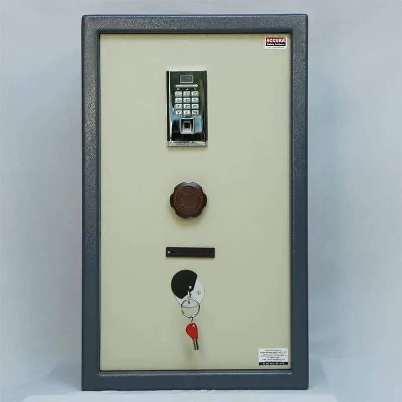 Accura Biometric Home Locker Jumbo Single Door