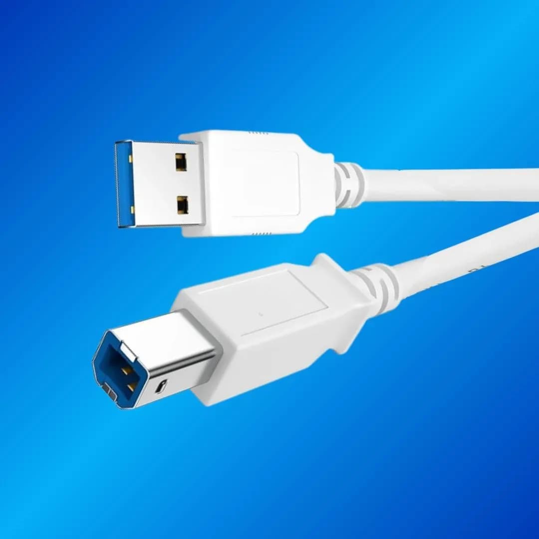 Champion USB A to B Printer Cable